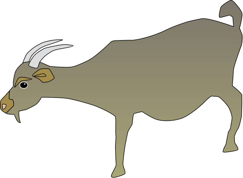 Goat (Capra Aegagrus Hircus)