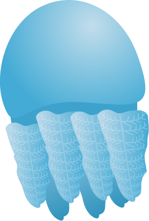 Jelly Blubber (Catostylus Mosaicus)