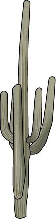 Saguaro Cactus (Carnegiea Gigantea)