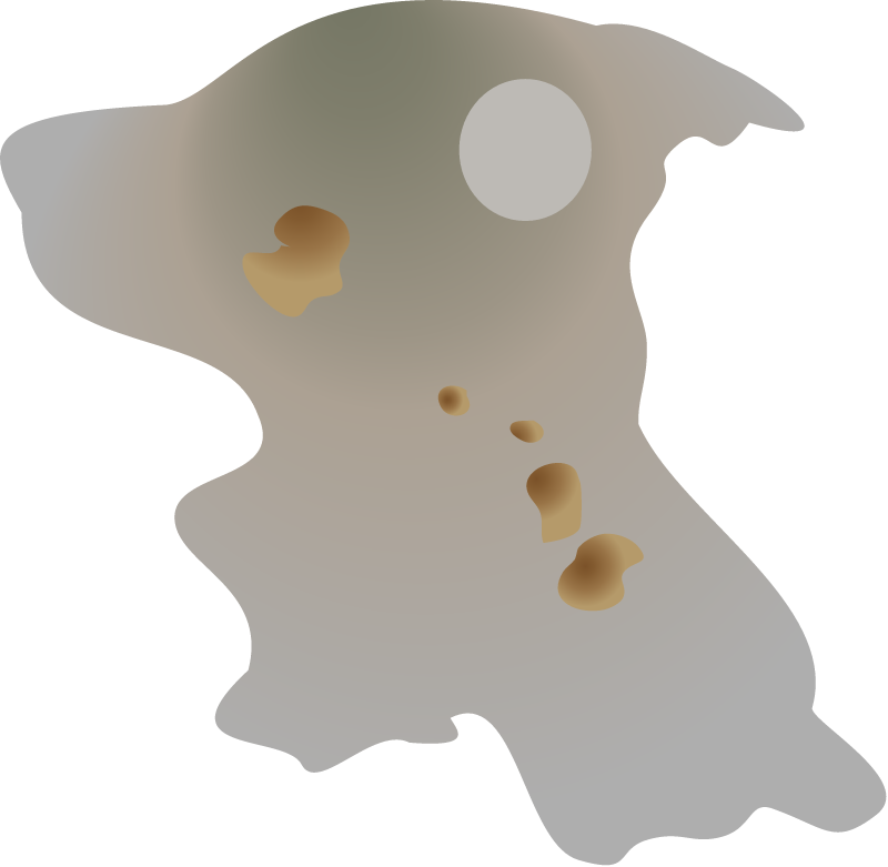 Amoeba (Chaos Diffluens)