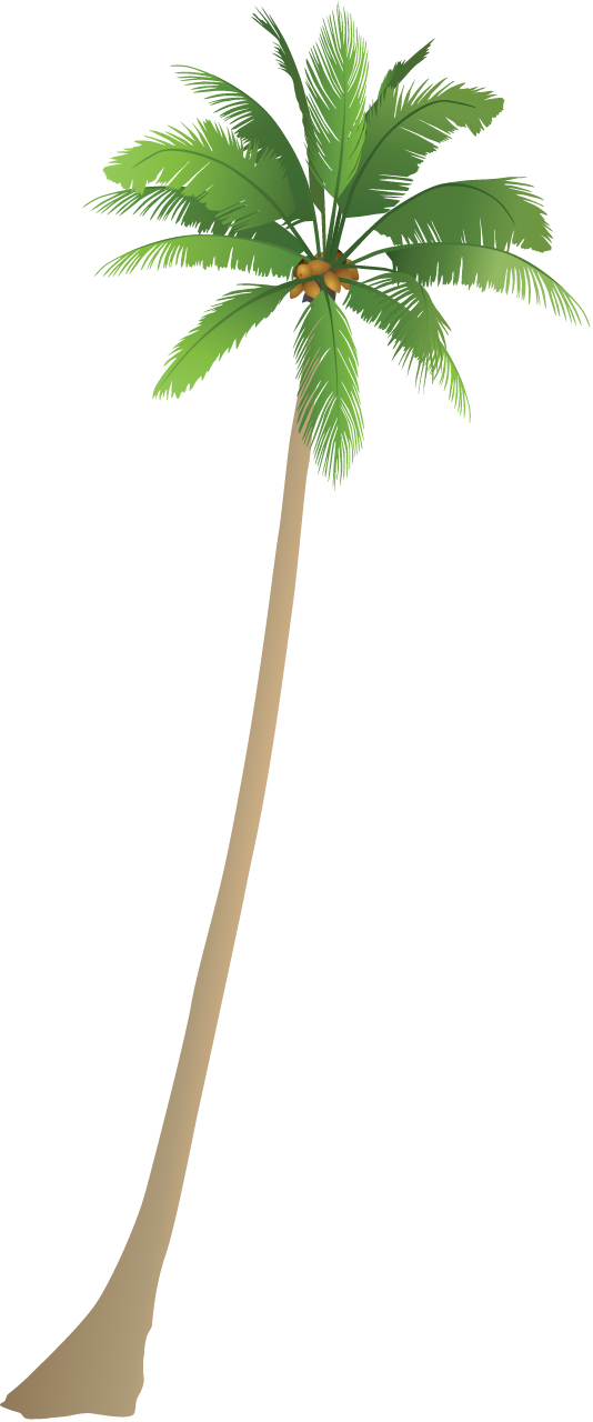 Kelapa