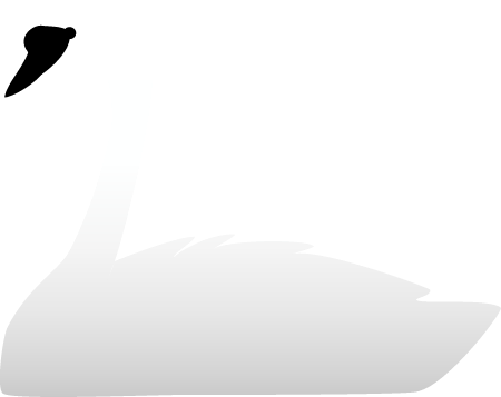 Trumpeter Swan (Cygnus Buccinator)