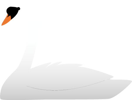Mute Swan (Cygnus Olor)
