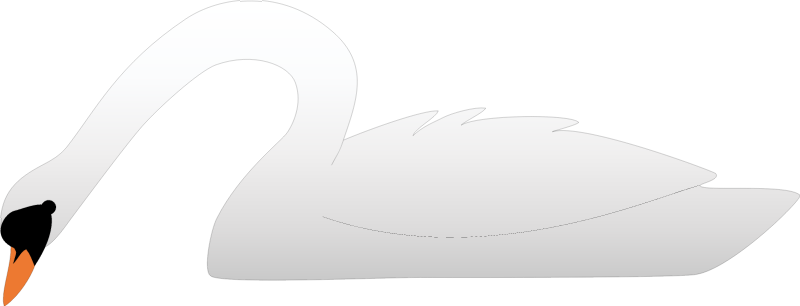 Mute Swan (Cygnus Olor)