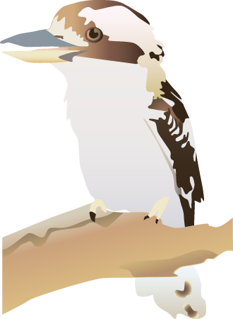 Laughing Kookaburra (Dacelo Novaeguineae)