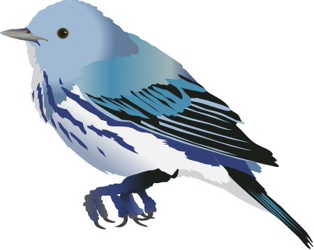 Cerulean Warbler (Dendroica Cerulea)