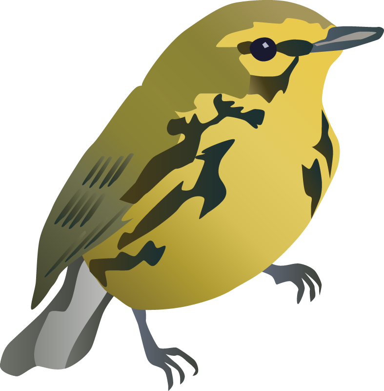 Prairie Warbler (Dendroica Discolor)