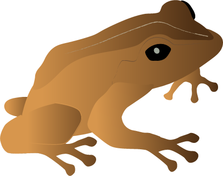 Coqui Frog (Eleutherodactylus Coqui)