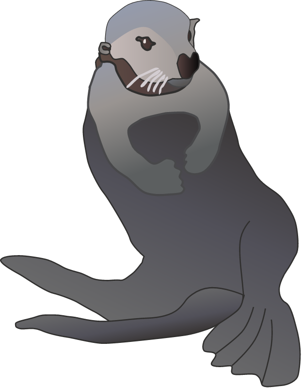 Sea Otter (Enhydra Lutris)
