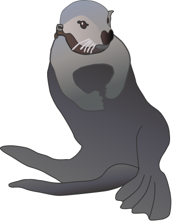 Sea Otter (Enhydra Lutris)