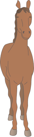Horse (Equus Ferus Caballus)
