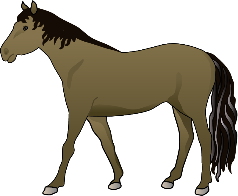 Horse (Equus Ferus Caballus)