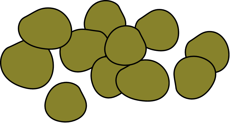 Horse Feces (Equus Ferus Caballus)