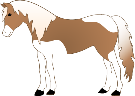 Pony (Equus Ferus Caballus)