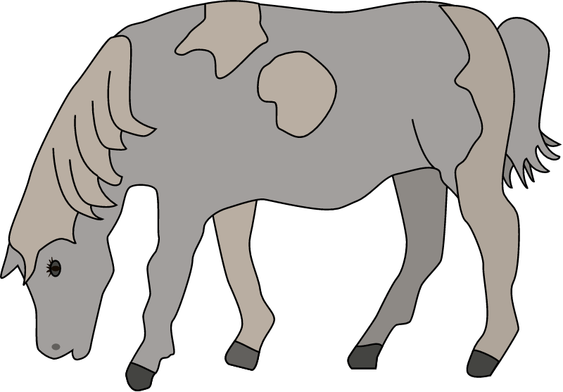Pony (Equus Ferus Caballus)