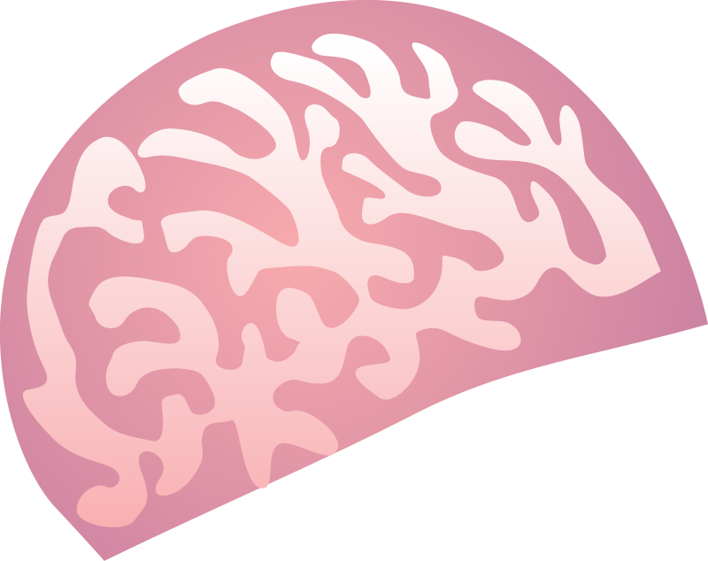 Brain Coral (Faviidae)