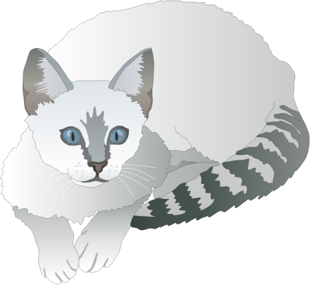 Cat Domestic (Felis Catus)