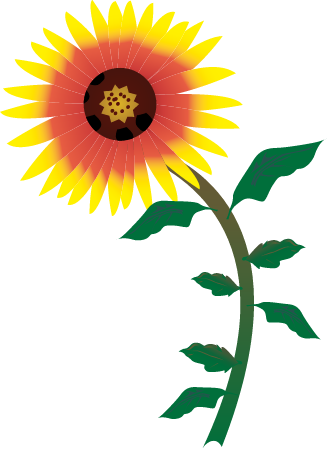 Blanketflower (Gaillardia Aristata)