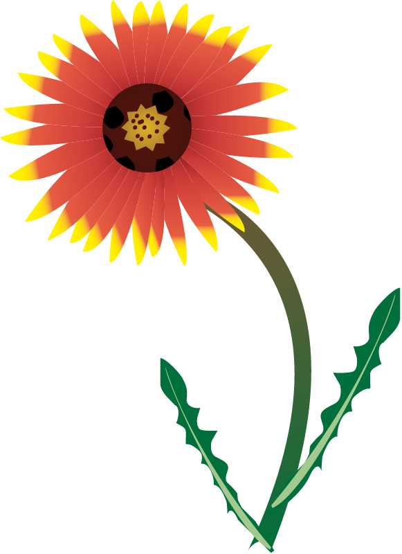 Indian Blanket (Gaillardia Pulchella)