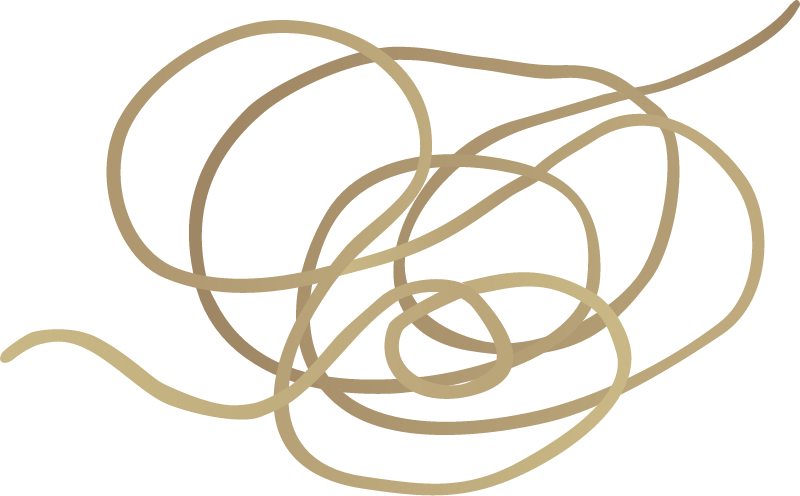 Horsehair Worm (Gordius)
