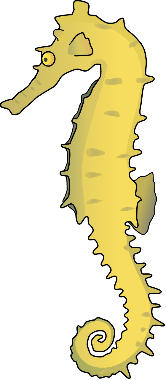 Seahorse (Hippocampus)