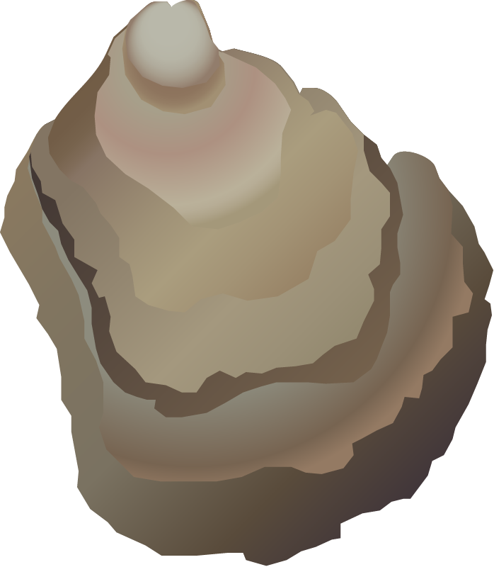 Flat Tree Oyster (Isognomon Alatus)