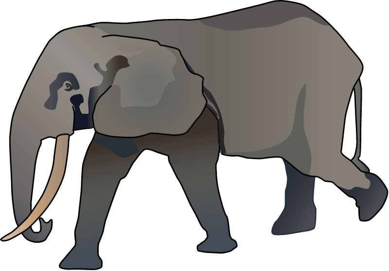 African Elephant (Loxodonta)