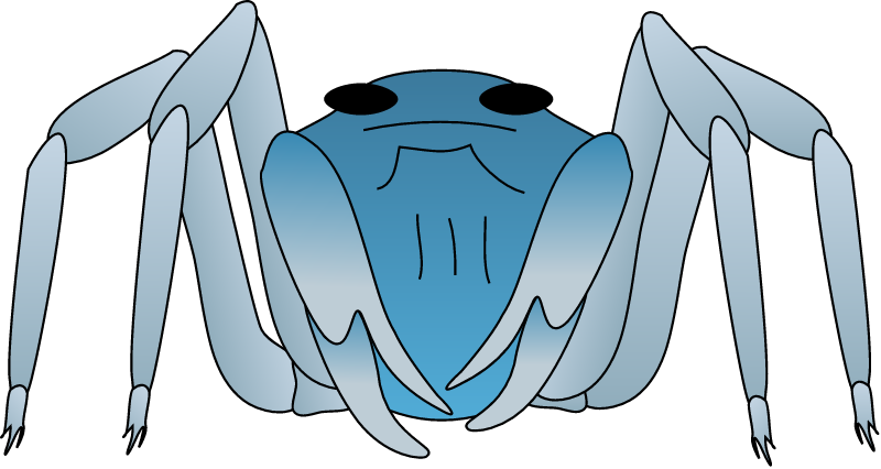 Soldier Crab (Mictyris)
