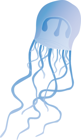 Jellyfish (Moerisia)