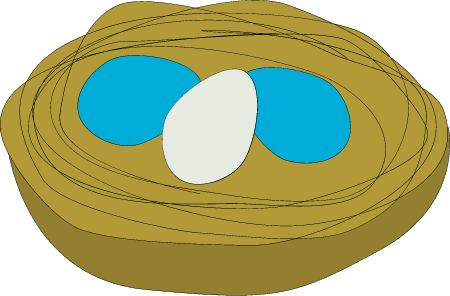 Cowbird Nest (Molothrus)