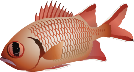 Myripristis vittata