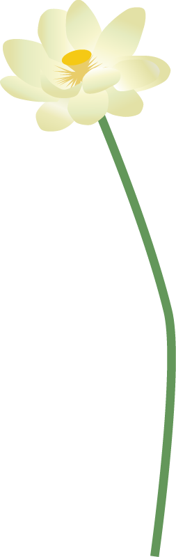 Nelumbo lutea