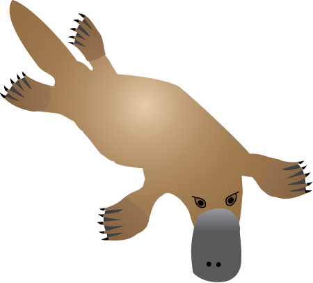 Platypus (Ornithorhynchus Anatinus)
