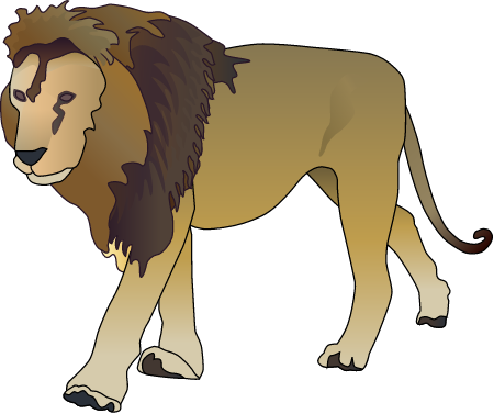 Lion Male (Panthera Leo)