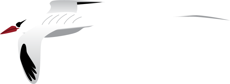 Red Billed Tropicbird (Phaethon Aethereus)