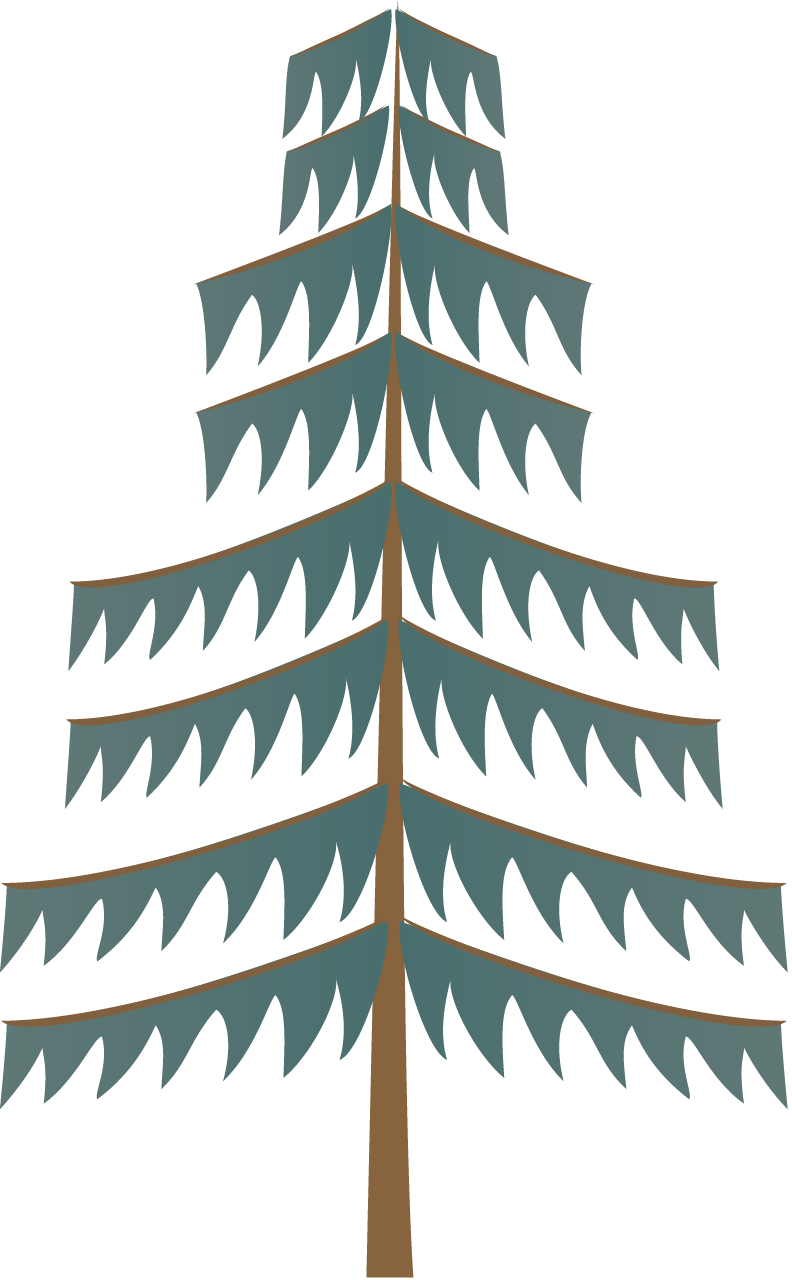 Pine (Pinus)