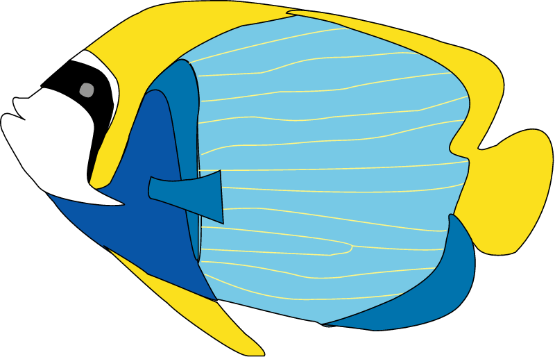 Emperor Angelfish (Pomacanthus Imperator)