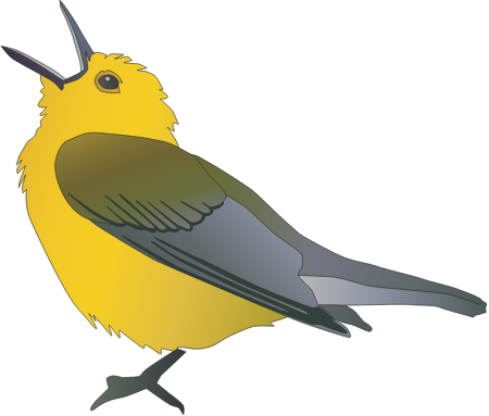 Prothonotary Warbler (Protonotaria Citrea)