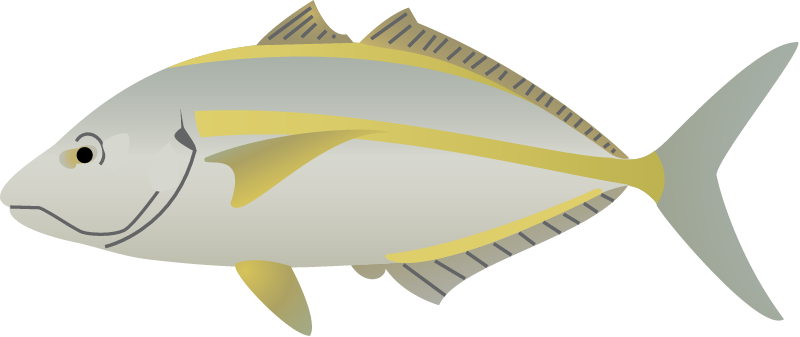 White Trevally (Pseudocaranx Dentex)