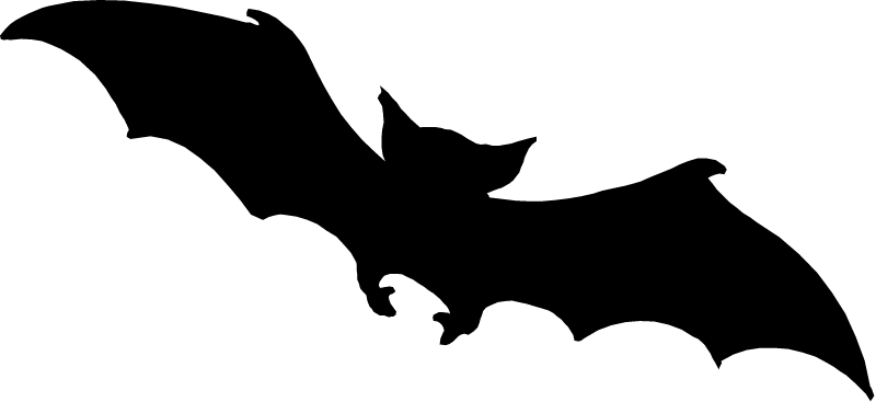 Fruit Bat (Pteropus)