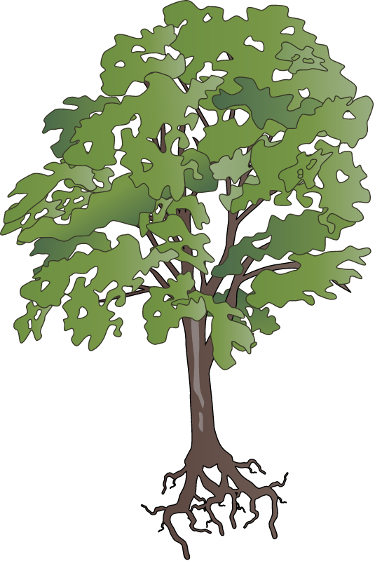 栗橡