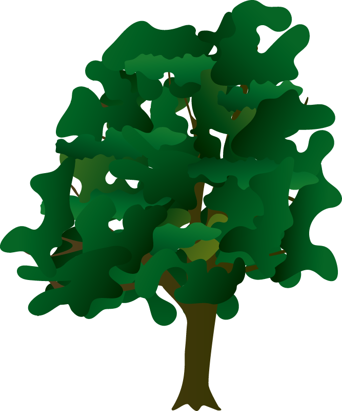 Chinkapin Oak (Quercus Muehlenbergii)