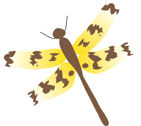 Banded Flutterer (Rhyothemis Graphiptera)