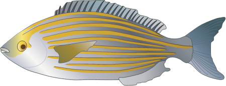 Сарпа