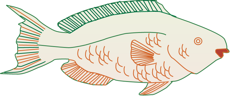 Parrotfish (Scarus)