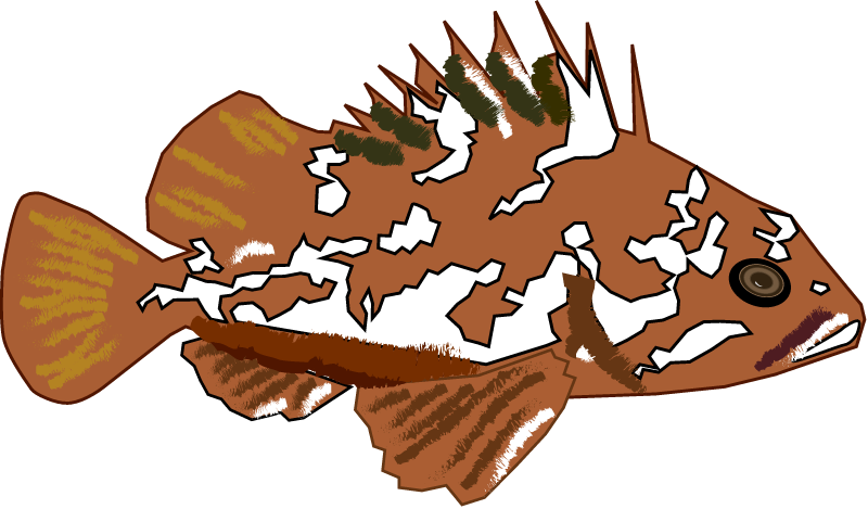 Gopher Rockfish (Sebastes Carnatus)