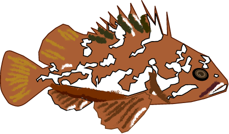 Gopher Rockfish (Sebastes Carnatus)