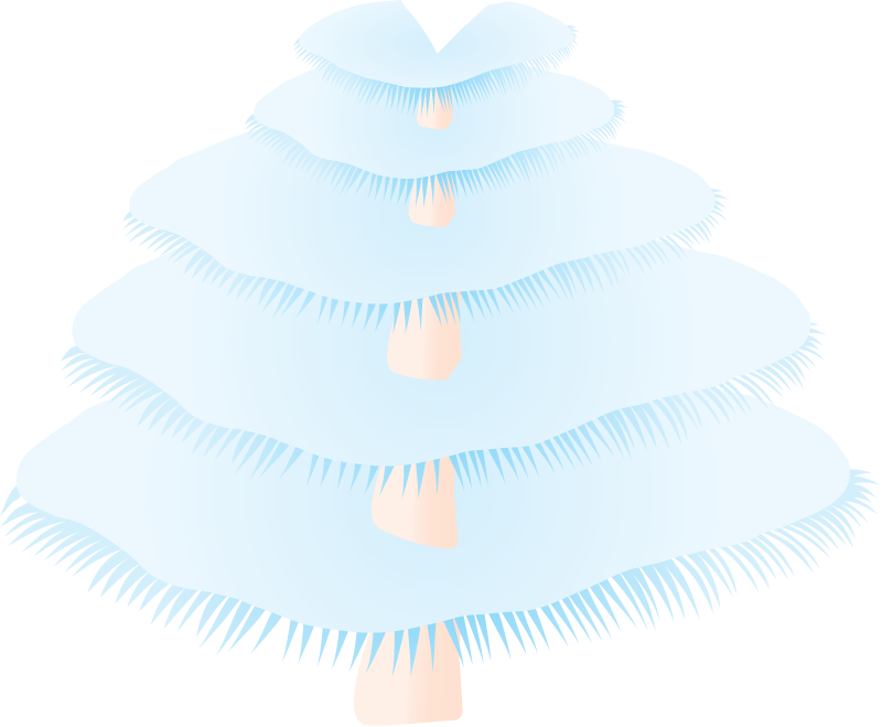 Christmas Tree Worms (Spirobranchus Giganteus)