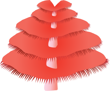 Christmas Tree Worms (Spirobranchus Giganteus)