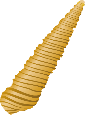 Bittium